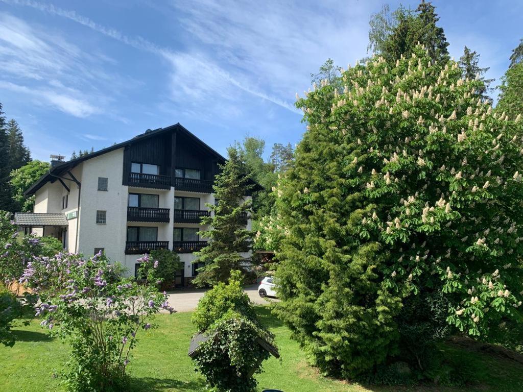 Landhaus Am Forst Bad Alexandersbad Exteriér fotografie