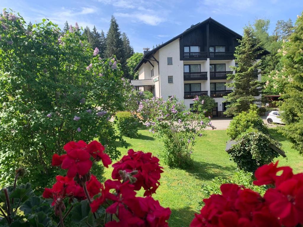 Landhaus Am Forst Bad Alexandersbad Exteriér fotografie