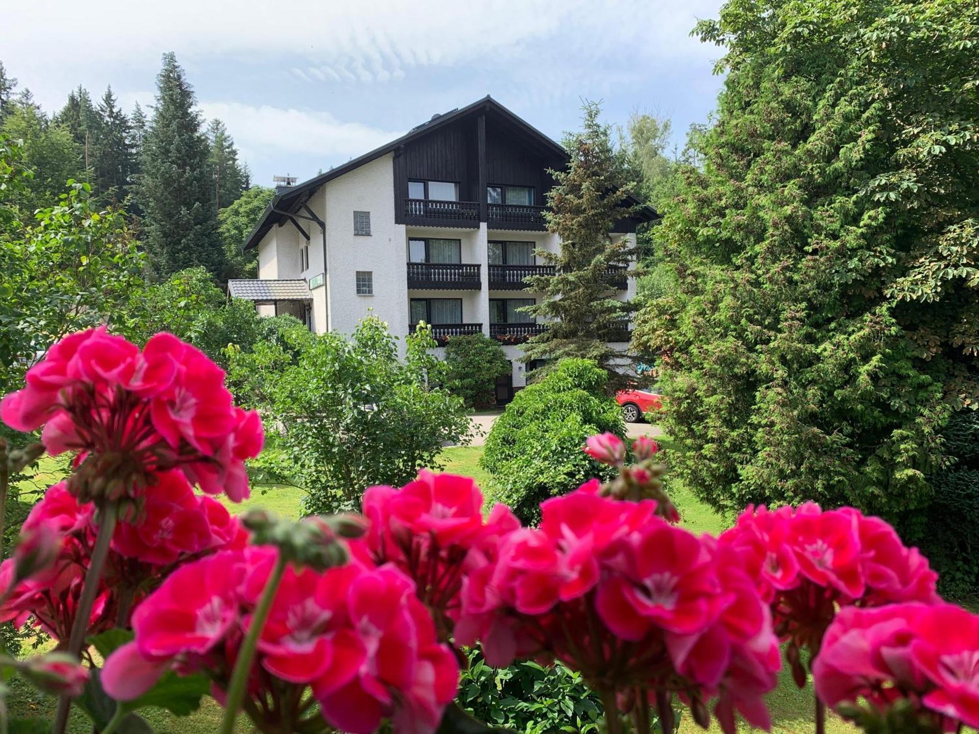 Landhaus Am Forst Bad Alexandersbad Exteriér fotografie