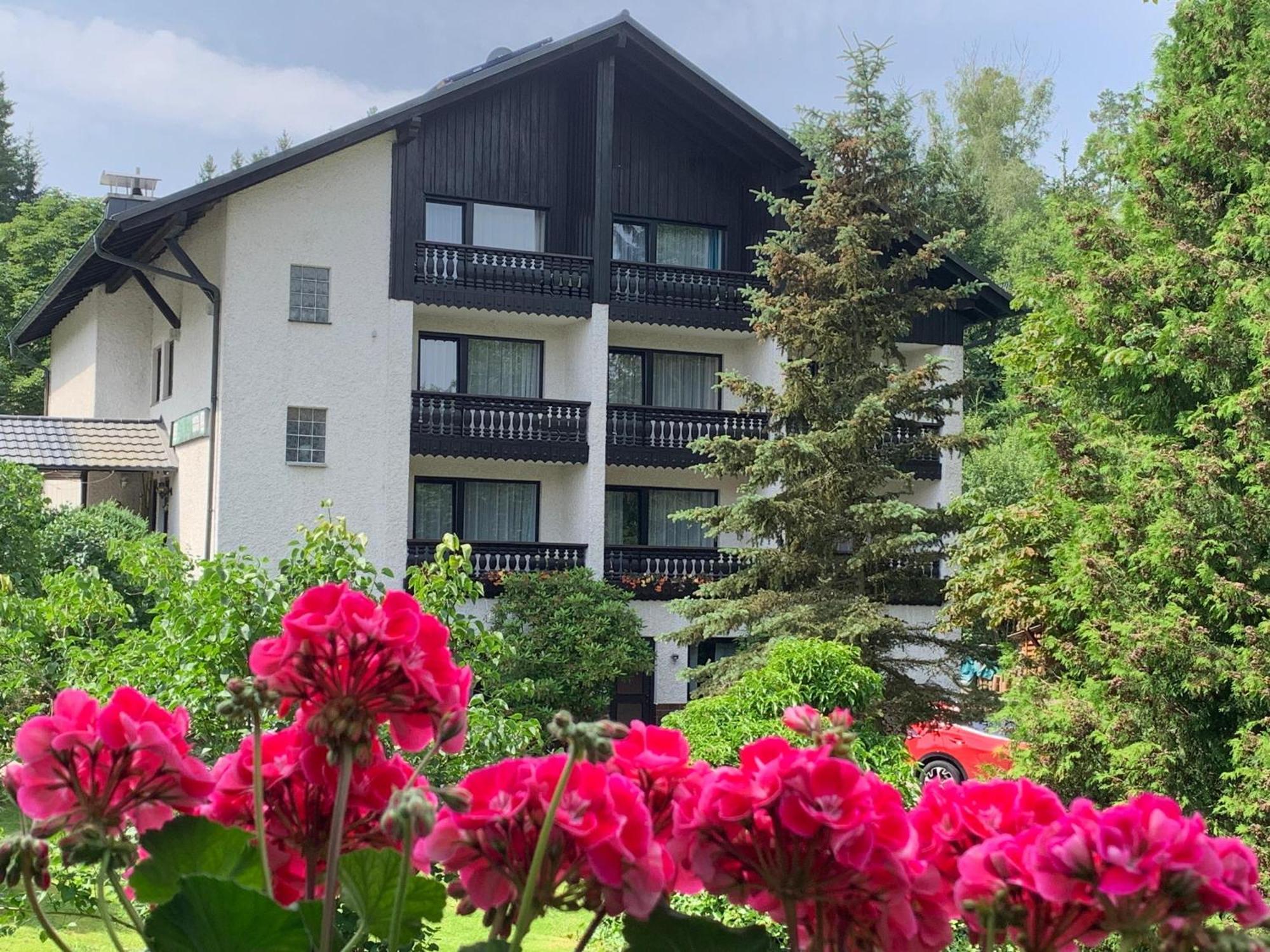 Landhaus Am Forst Bad Alexandersbad Exteriér fotografie