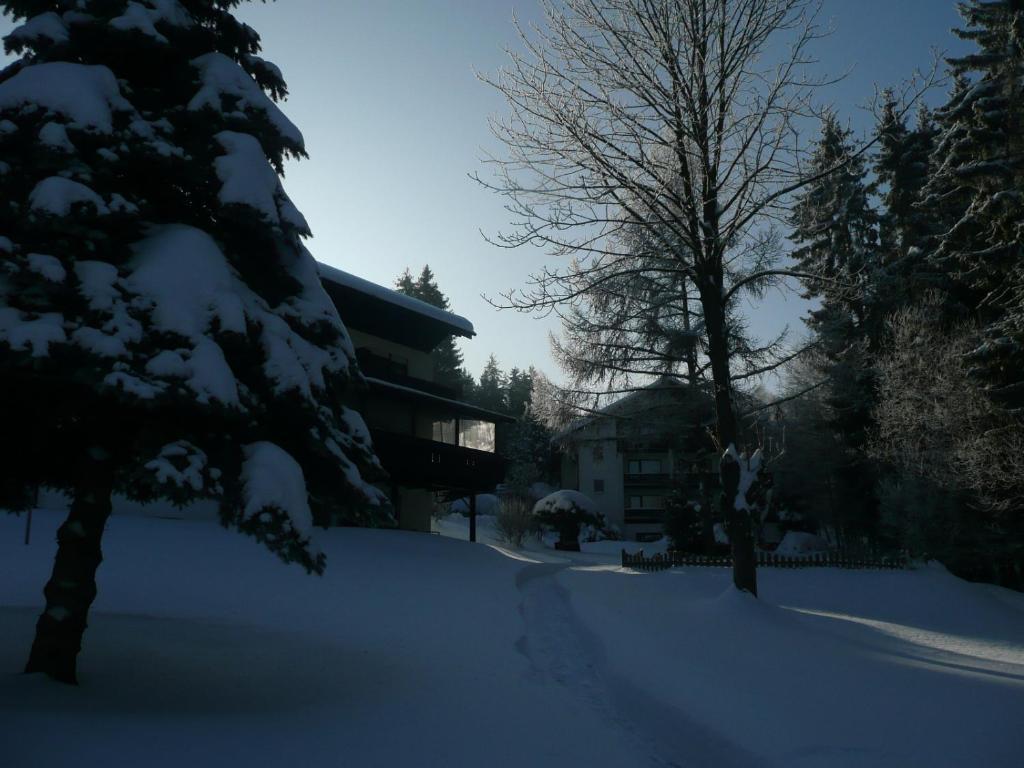 Landhaus Am Forst Bad Alexandersbad Exteriér fotografie